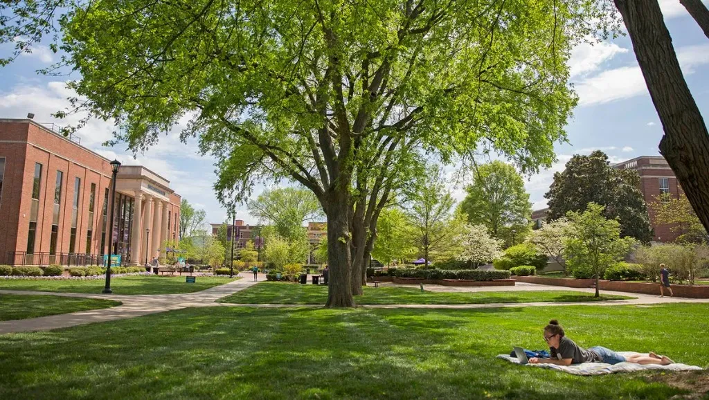 A student studying on the lawn at Lipscomb University.